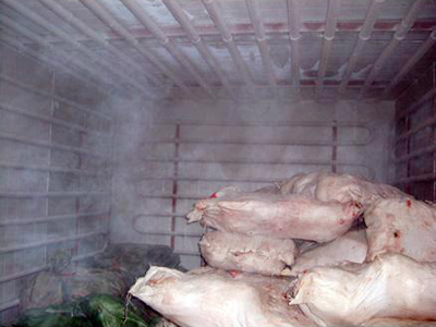  &nbsp; &nbsp; &nbsp; &nbsp; 深圳冷庫(kù)安裝